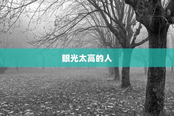 眼光太高的人
