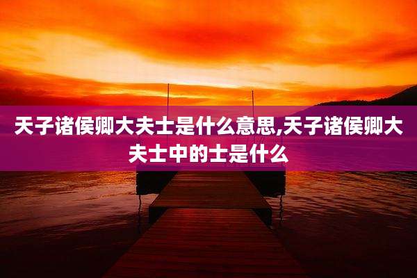 天子诸侯卿大夫士是什么意思,天子诸侯卿大夫士中的士是什么