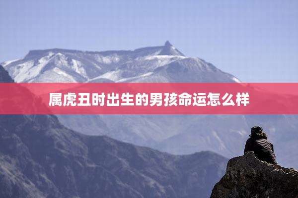 属虎丑时出生的男孩命运怎么样