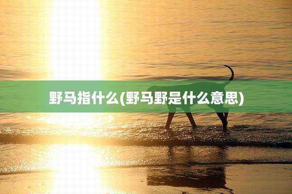 野马指什么(野马野是什么意思)