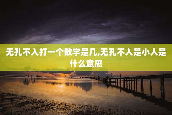 无孔不入打一个数字是几,无孔不入是小人是什么意思