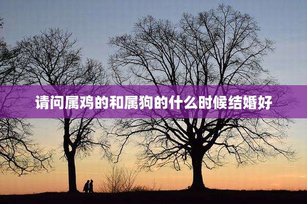 请问属鸡的和属狗的什么时候结婚好