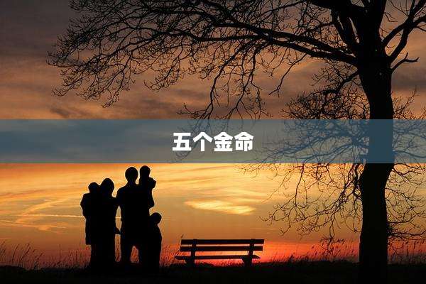 五个金命