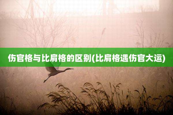 伤官格与比肩格的区别(比肩格遇伤官大运)