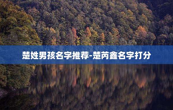 楚姓男孩名字推荐-楚芮鑫名字打分