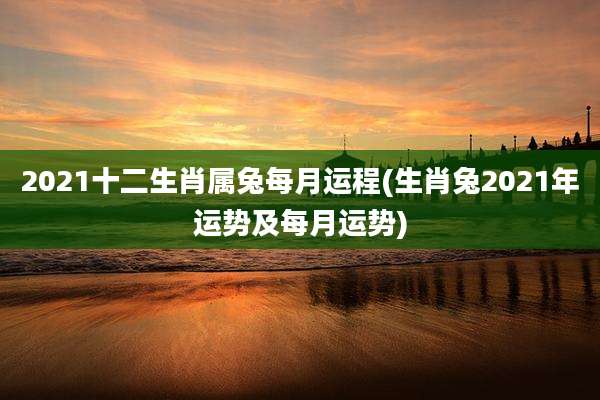 2021十二生肖属兔每月运程(生肖兔2021年运势及每月运势)
