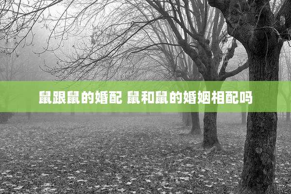 鼠跟鼠的婚配 鼠和鼠的婚姻相配吗