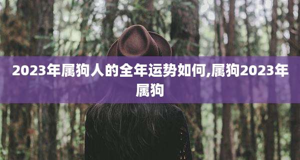 2023年属狗人的全年运势如何,属狗2023年属狗