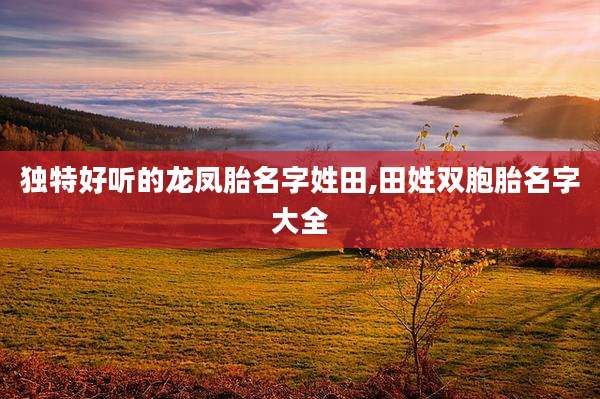 独特好听的龙凤胎名字姓田,田姓双胞胎名字大全