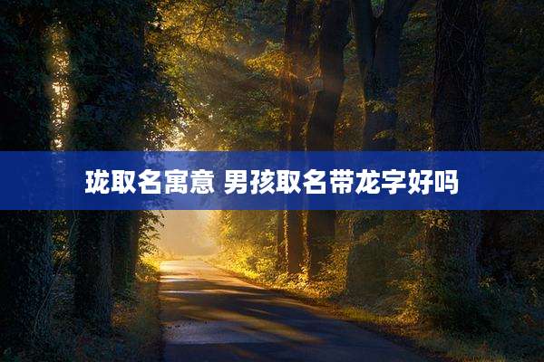 珑取名寓意 男孩取名带龙字好吗