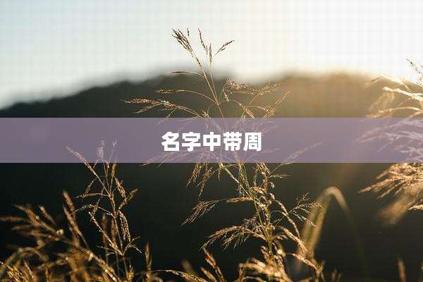 名字中带周