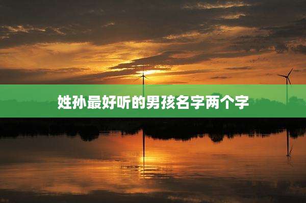 姓孙最好听的男孩名字两个字