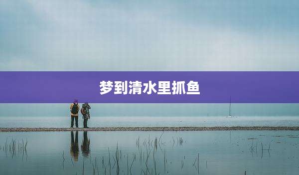 梦到清水里抓鱼