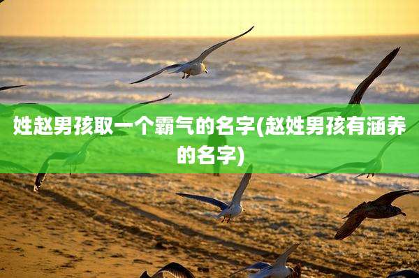 姓赵男孩取一个霸气的名字(赵姓男孩有涵养的名字)