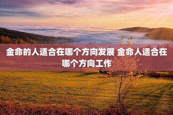 金命的人适合在哪个方向发展 金命人适合在哪个方向工作