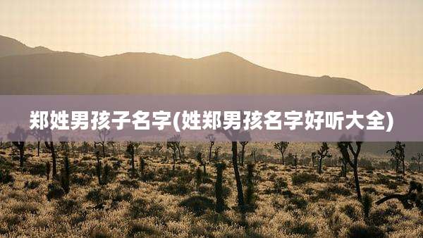 郑姓男孩子名字(姓郑男孩名字好听大全)