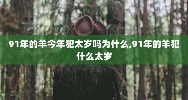 91年的羊今年犯太岁吗为什么,91年的羊犯什么太岁