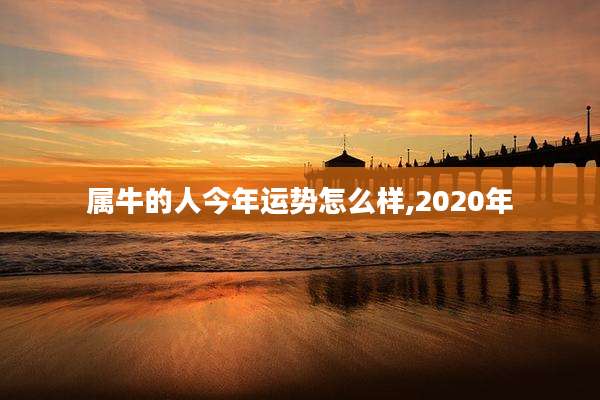 属牛的人今年运势怎么样,2020年