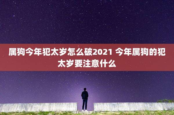 属狗今年犯太岁怎么破2021 今年属狗的犯太岁要注意什么