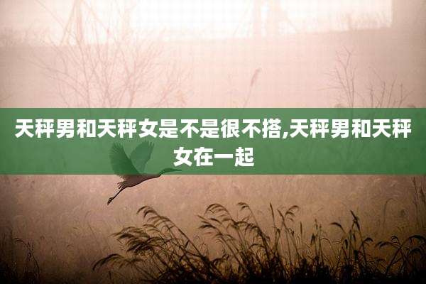 天秤男和天秤女是不是很不搭,天秤男和天秤女在一起