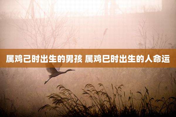 属鸡己时出生的男孩 属鸡巳时出生的人命运