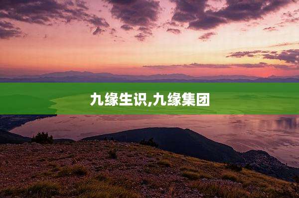 九缘生识,九缘集团