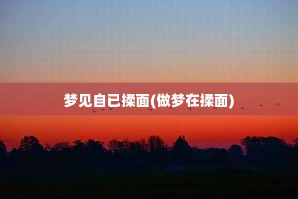 梦见自已揉面(做梦在揉面)