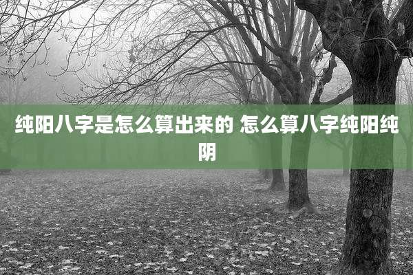 纯阳八字是怎么算出来的 怎么算八字纯阳纯阴