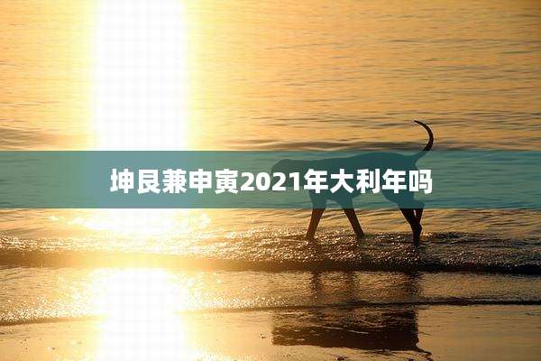 坤艮兼申寅2021年大利年吗