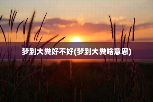 梦到大粪好不好(梦到大粪啥意思)
