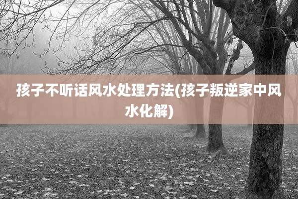 孩子不听话风水处理方法(孩子叛逆家中风水化解)