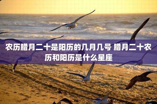 农历腊月二十是阳历的几月几号 腊月二十农历和阳历是什么星座
