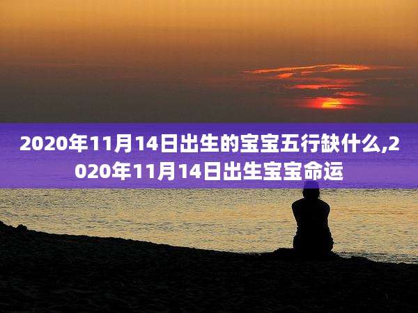 2020年11月14日出生的宝宝五行缺什么,2020年11月14日出生宝宝命运