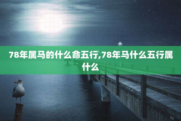 78年属马的什么命五行,78年马什么五行属什么