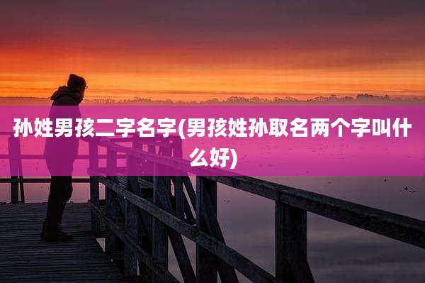 孙姓男孩二字名字(男孩姓孙取名两个字叫什么好)