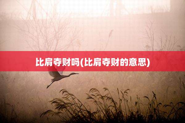 比肩夺财吗(比肩夺财的意思)