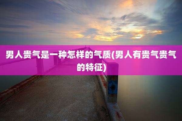 男人贵气是一种怎样的气质(男人有贵气贵气的特征)
