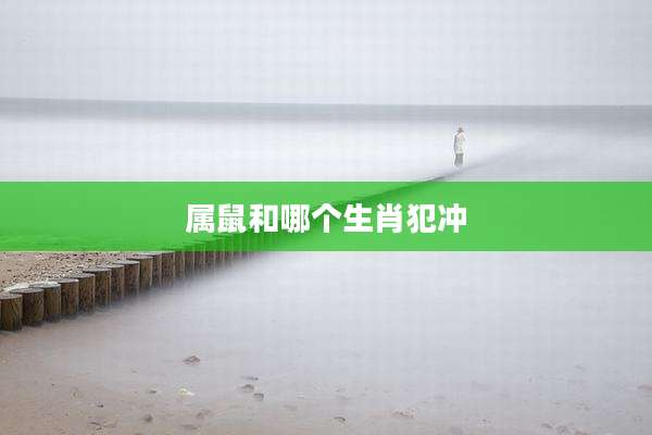 属鼠和哪个生肖犯冲