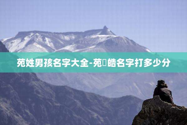 苑姓男孩名字大全-苑璟皓名字打多少分