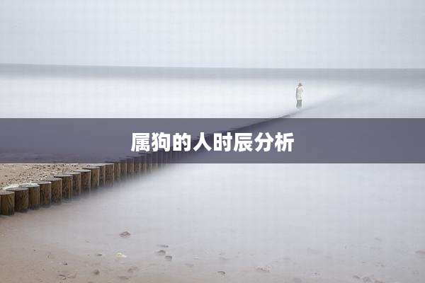 属狗的人时辰分析