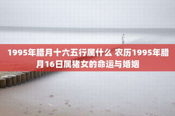 1995年腊月十六五行属什么 农历1995年腊月16日属猪女的命运与婚姻
