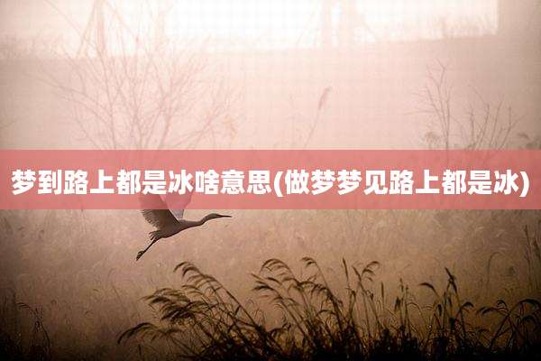 梦到路上都是冰啥意思(做梦梦见路上都是冰)