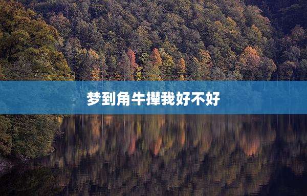 梦到角牛撵我好不好