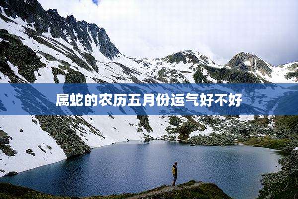 属蛇的农历五月份运气好不好
