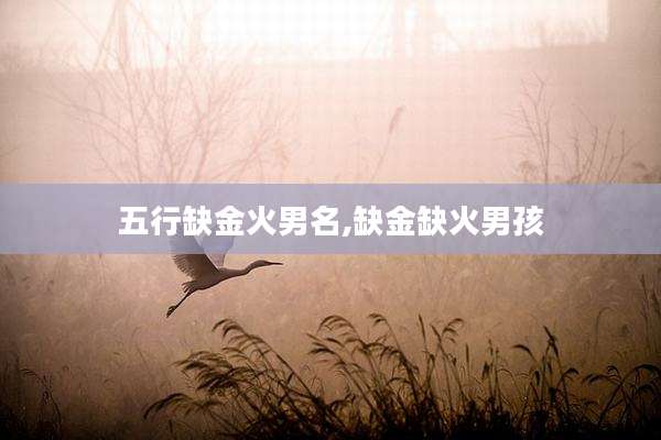 五行缺金火男名,缺金缺火男孩