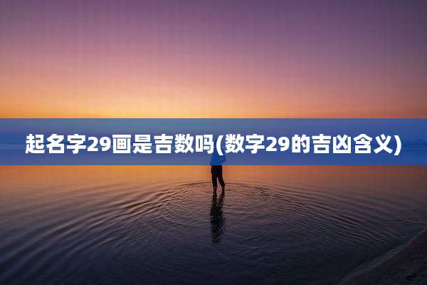起名字29画是吉数吗(数字29的吉凶含义)