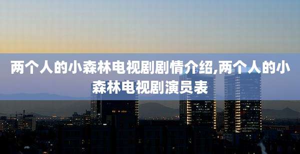 两个人的小森林电视剧剧情介绍,两个人的小森林电视剧演员表