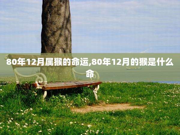 80年12月属猴的命运,80年12月的猴是什么命