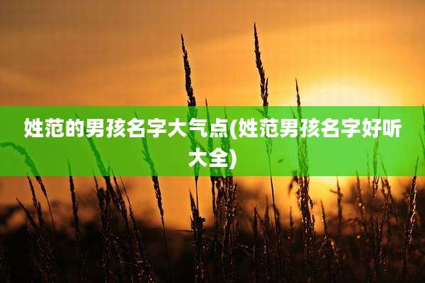姓范的男孩名字大气点(姓范男孩名字好听大全)