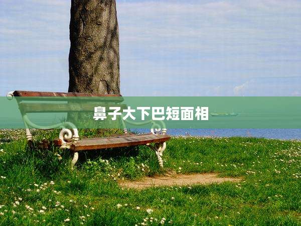 鼻子大下巴短面相